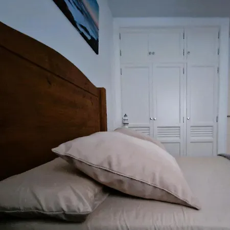 Malvasia 5 法马拉